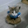 Логотип телеграм канала @uchobaettahyinya — История выживания корейца в России 러시아 생존기