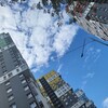 Логотип телеграм канала @ucsodrbr — ЖК "Березовая роща"