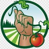 Логотип телеграм канала @udachnayadachaa — Удачная Дача