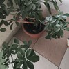 Логотип телеграм канала @udachnyj1 — уДачный