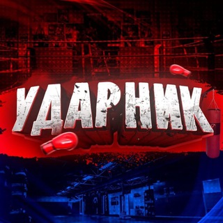 Логотип телеграм канала @udarnik_mma — УДАРНИК