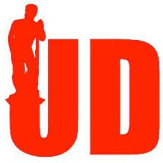 Telegram channel udine20 logo