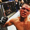 Логотип телеграм канала @ufc_tr — UFC 303 ПРЯМАЯ ТРАНСЛЯЦИЯ