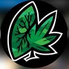 Logo of telegram channel uk_tramadol_mushroom — Oxycontin dihydrocodeine pills UK 🇬🇧