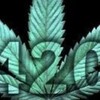 Logo of telegram channel ukmuscles420 — 🇬🇧Uk muscle 420 lounge🇬🇧