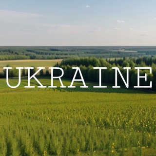 Telegram channel UKRAINE NEWS logo