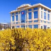 Логотип телеграм канала @ukraineactualua — 🇺🇦АКТУАЛЬНИЙ🇺🇦