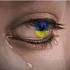 Logo of telegram channel ukrainewarvideosenglish — Ukraine War Videos ( News) in English 18 