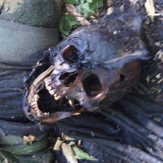 Логотип телеграм канала @ukrainskaya_peredovaya — Украинская Война