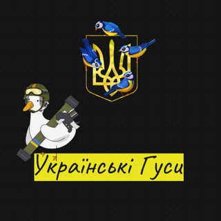 Логотип телеграм -каналу ukrainski_husy — Українські Гуси 🇺🇦 Смішні відео