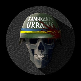 Логотип телеграм канала @ukrfunnypigs — Kaмикадзе Ukraine