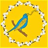 Логотип телеграм -каналу ukrmusicsolovina — Українська музика - слухай солов‘їною🕊️