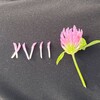 Логотип телеграм канала @ul17k — леонова хвии