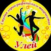 Логотип телеграм канала @ulei79 — Студия хореографического творчества "Улей"
