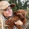 Логотип телеграм канала @uliatoypodel — Той Пудель Юлия,мальтипу,кавапу ,помапу