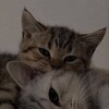 Логотип телеграм канала @ulovethat — Люблю