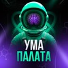 Логотип телеграм канала @umapalata555 — Ума Палата