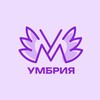 Логотип телеграм канала @umbria_econ — Умбрия - Экономика