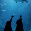 Логотип телеграм канала @umm_maryam_myallima — Umm_maryam/ Уроки об Исламе детям