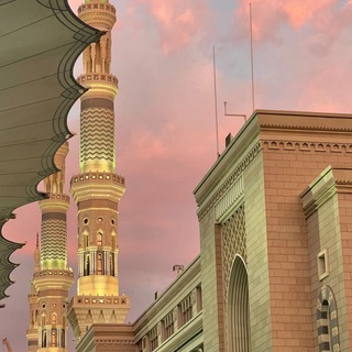 Логотип телеграм канала @umma_tun — ميم🌴