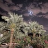 Telegram channel UMMA-KSA 🇸🇦 Медина 🌴 Мекка logo