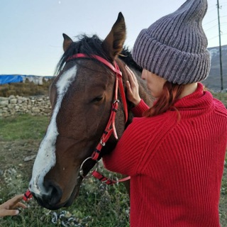 Логотип телеграм канала @ummeame — 🍃Даша СВОБОДА