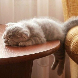 Логотип телеграм канала @umor_prikoli — Юмор, приколы и шутки.