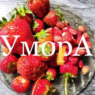 Логотип телеграм канала @umoranekdotg — УморА