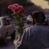 Логотип телеграм канала @umsaidi — и мы умрем где-то посреди ночи.
