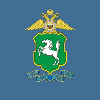 Логотип телеграм канала @umvd70 — Томская полиция