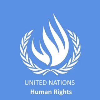 Логотип телеграм канала @un_committee — Комитет ООН. Женева.
