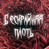 Логотип телеграм канала @unbegrenztes_fleisch — бескрайняя плоть