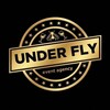 Логотип телеграм канала @underfly_spb — UNDER FLY