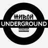 Логотип телеграм канала @underground002 — Underground🕸️