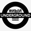 Логотип телеграм канала @underground002 — Underground🕸️