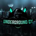 Logo saluran telegram undergroundcy — زیرزمین سایبری | آموزش شبکه و امنیت