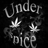 Логотип телеграм канала @underspicee — Under Spice