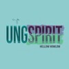 Логотип телеграм канала @ungspiritcrypto — Howlow UNGSPIRIT в Крипте