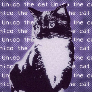 Telegram channel The Unico Cat! logo