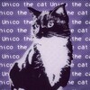 Logo of telegram channel unico_cat — The Unico Cat!