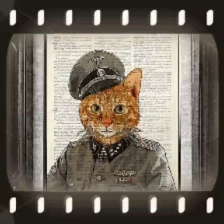 Логотип телеграм -каналу unitcat — Кіт
