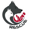 Logo of telegram channel unitedloverescue — United Love