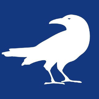 Логотип телеграм канала @unitynationnarmy — Белый Ворон - переходник