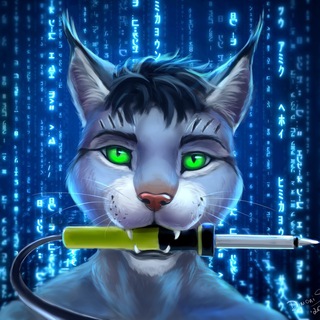 Логотип телеграм канала @univelis — Univelis