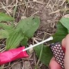Логотип телеграм канала @uniy_pirotehnik_tt — 🧨Юный пиро🧨