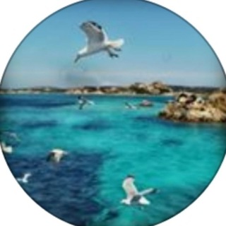 Логотип телеграм канала @untipical_tourists — Нетипичные туристы 🌍