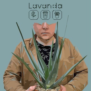 Логотип телеграм канала @unusualplantslavanda — Ботанический Проект . Unusual Plants