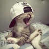Логотип телеграм канала @upaje — lil the шкед
