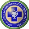 Логотип телеграм канала @uprvet31 — Управление ветеринарии Белгородской области