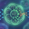 电报频道的标志 uqwgasbdj — AI电子病例数据采集打包